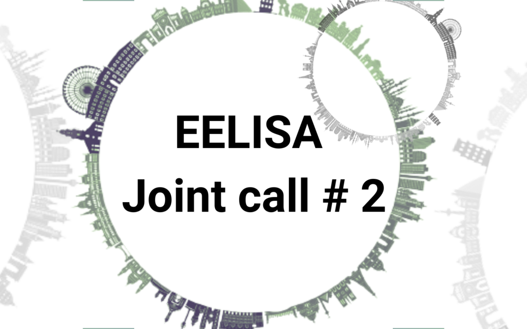 2. EELISA Joint Call – Itt az ideje benyújtani a pályázatot!